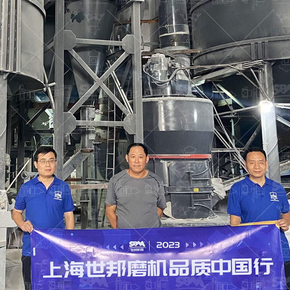 MTW European Trapezium Mill grinding roller assembly showing curved shovel blade design